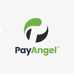 PayAngel-testimonial